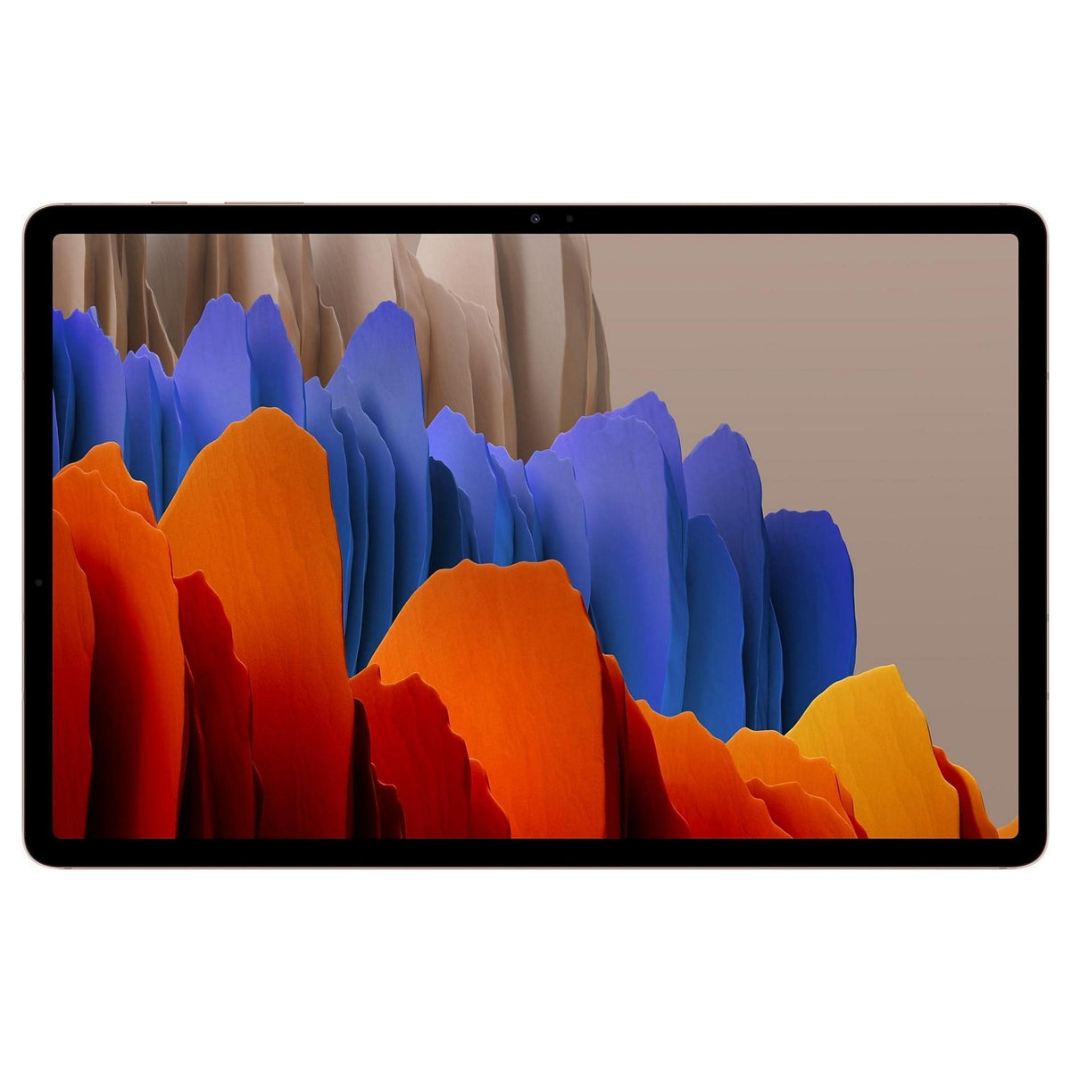 Platynowy | Samsung Galaxy Tab S7+ 5G 1