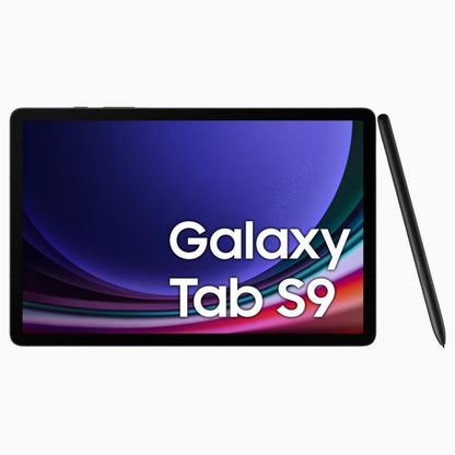 Szary | Samsung Galaxy Tab S9 5G 4
